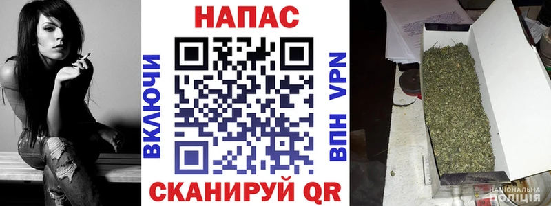 mega как зайти  Муравленко  Конопля планчик 
